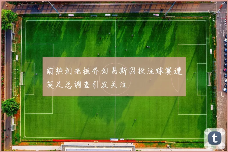 前热刺老板乔刘易斯因投注球赛遭英足总调查引发关注