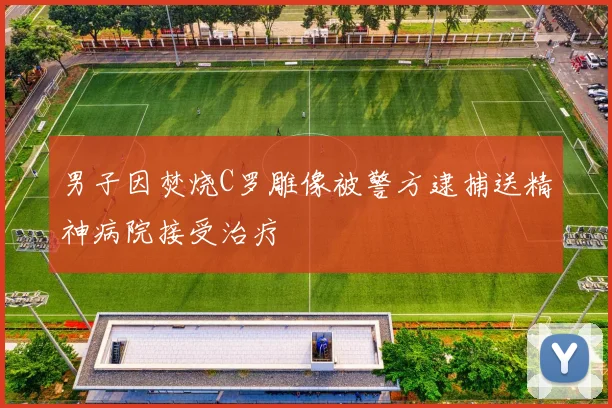 男子因焚烧C罗雕像被警方逮捕送精神病院接受治疗